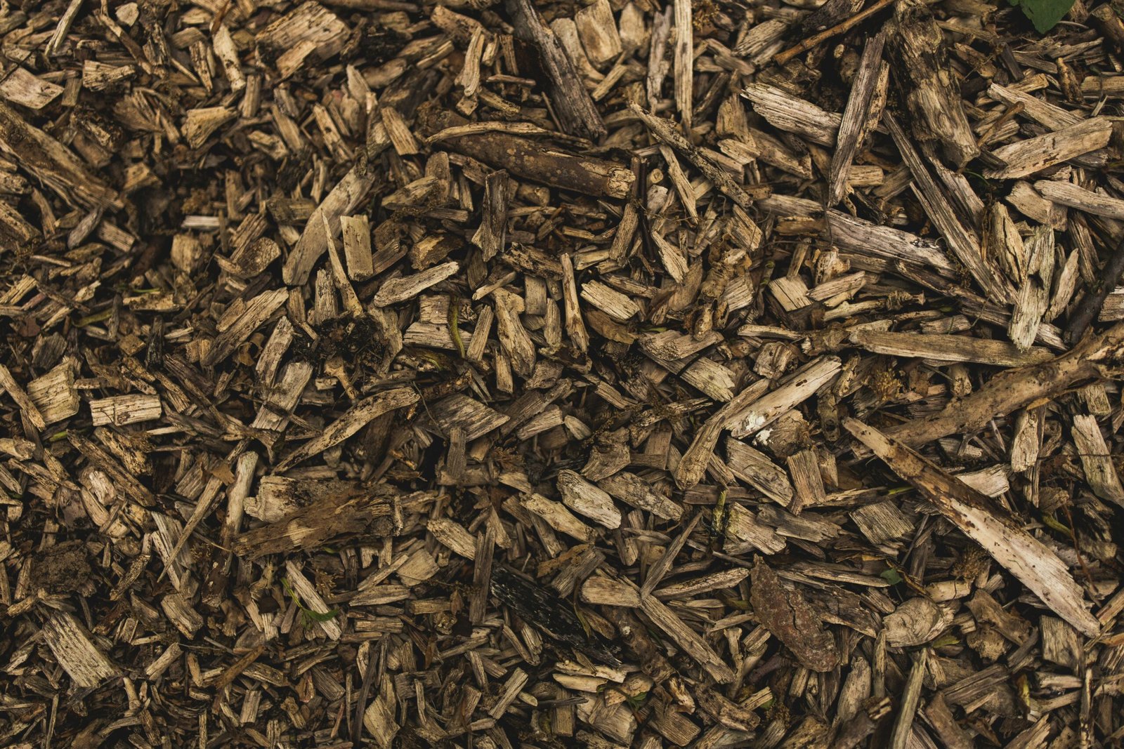 The Quest for Moisture: Unveiling the Best Mulches for Water Retention